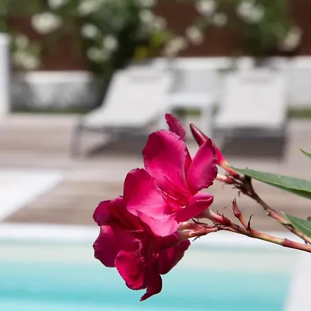 Дом отдыха Perithia Suites Peritheia