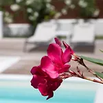 בית נופש Perithia Suites Peritheia