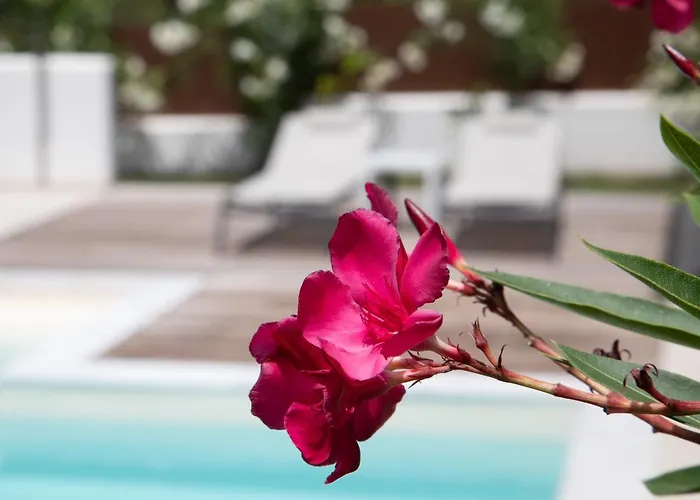 Hébergement de vacances Perithia Suites Peritheia